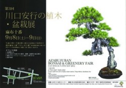 【麻布十番情報】川口安行の植木・盆栽展 麻布十番で開催！