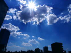 【ミニレポ】今日は30℃です。