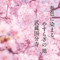 深谷石材店　霊園墓地新聞広告